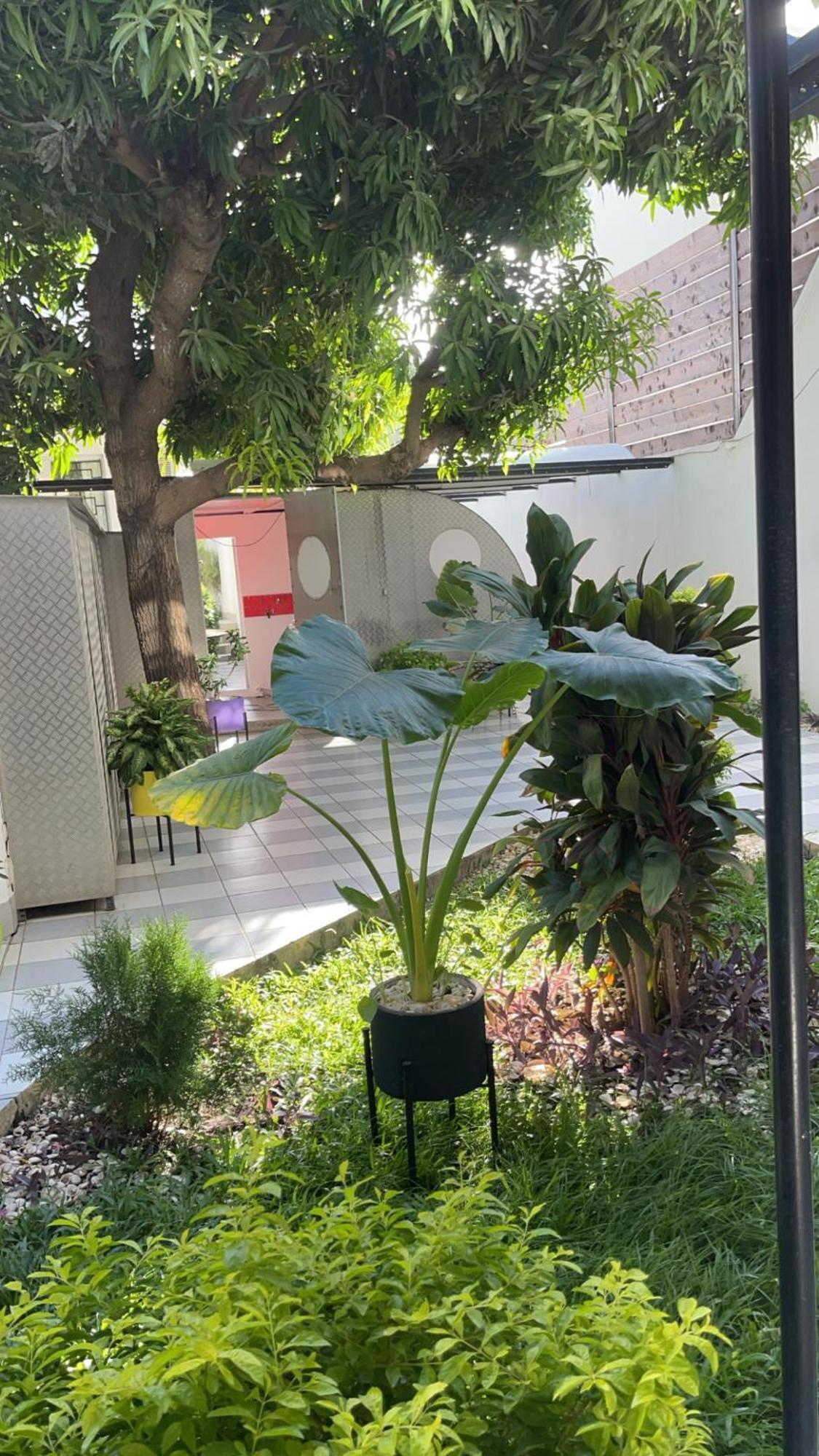Maison D'Hotes Villa Anna داكاغْ المظهر الخارجي الصورة